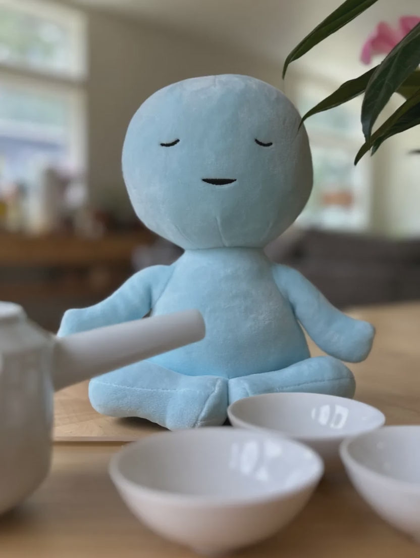 Medi for Kids!